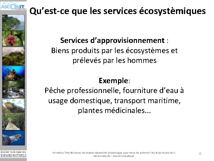 Qu’est-ce que les services écosystèmiques Services d’approvisionnement : Biens produits par les écosystèmes et