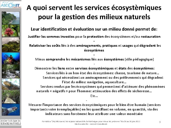 A quoi servent les services écosystèmiques pour la gestion des milieux naturels Leur identification