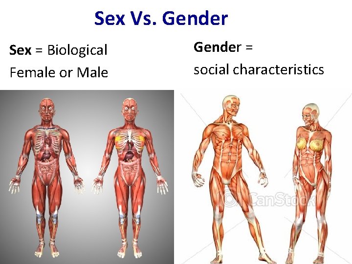 Sex Vs. Gender = social characteristics Microsoft Images Sex = Biological Female or Male Sex Vs. Gender = social characteristics Microsoft Images Sex = Biological Female or Male
