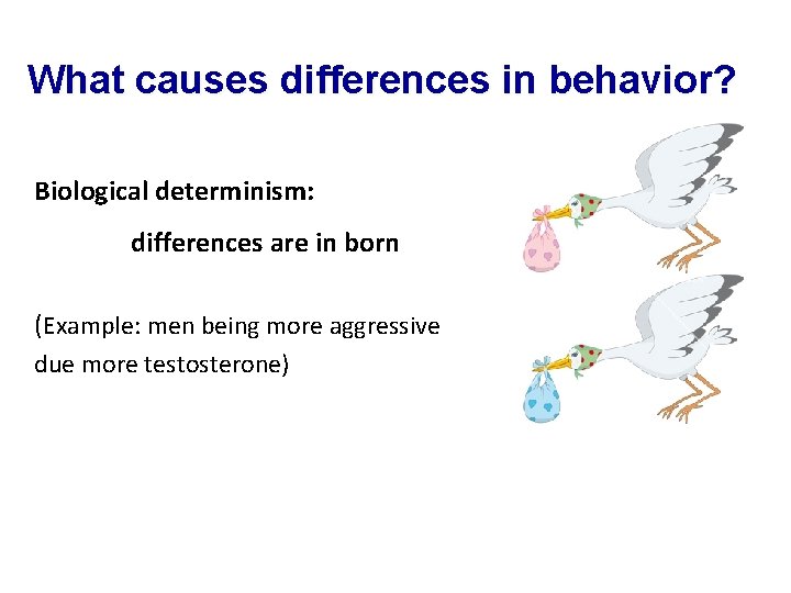 What causes differences in behavior? Biological determinism: differences are in born (Example: men being What causes differences in behavior? Biological determinism: differences are in born (Example: men being