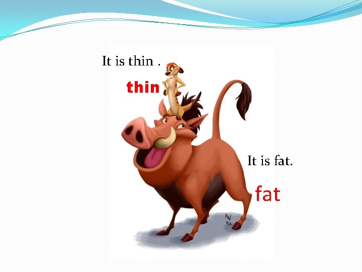 It is thin It is fat 