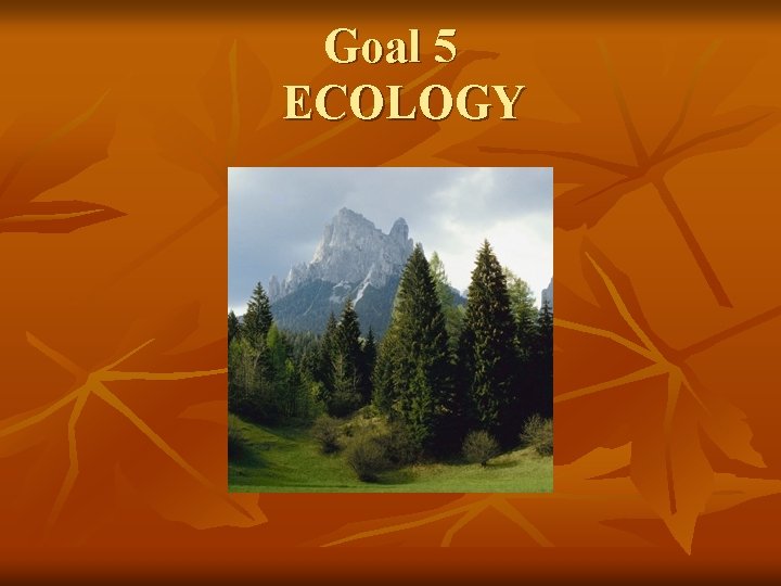Goal 5 ECOLOGY 