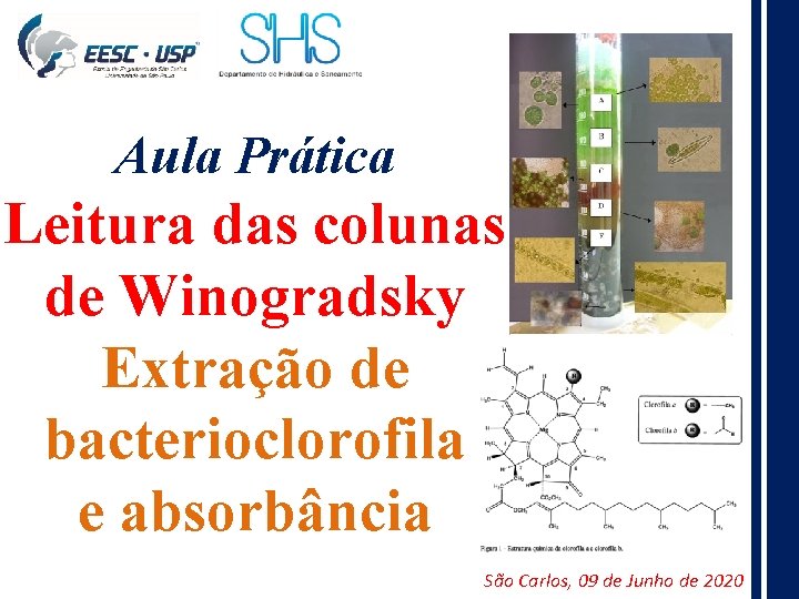 Aula Prática Leitura das colunas de Winogradsky Extração de bacterioclorofila e absorbância São Carlos,