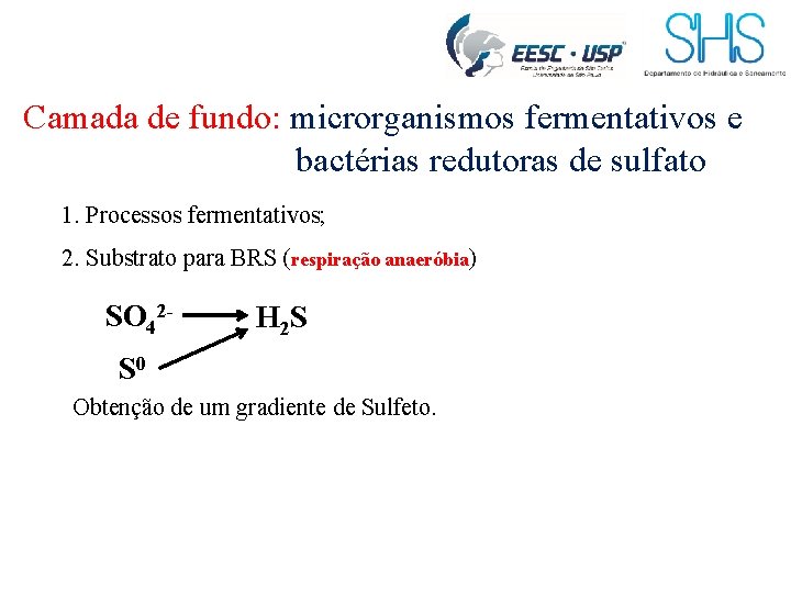 Camada de fundo: microrganismos fermentativos e bactérias redutoras de sulfato 1. Processos fermentativos; 2.