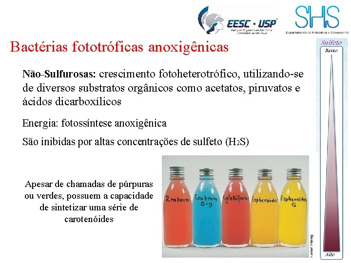 Bactérias fototróficas anoxigênicas Não-Sulfurosas: crescimento fotoheterotrófico, utilizando-se de diversos substratos orgânicos como acetatos, piruvatos