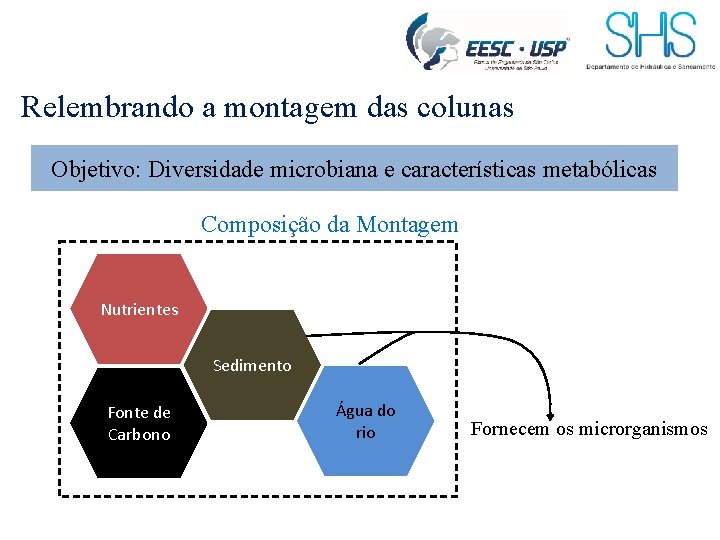 Relembrando a montagem das colunas Objetivo: Diversidade microbiana e características metabólicas Composição da Montagem