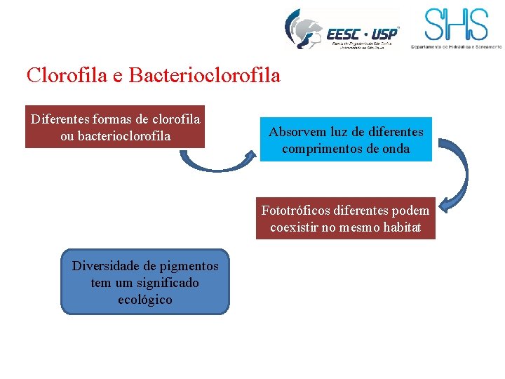 Clorofila e Bacterioclorofila Diferentes formas de clorofila ou bacterioclorofila Absorvem luz de diferentes comprimentos