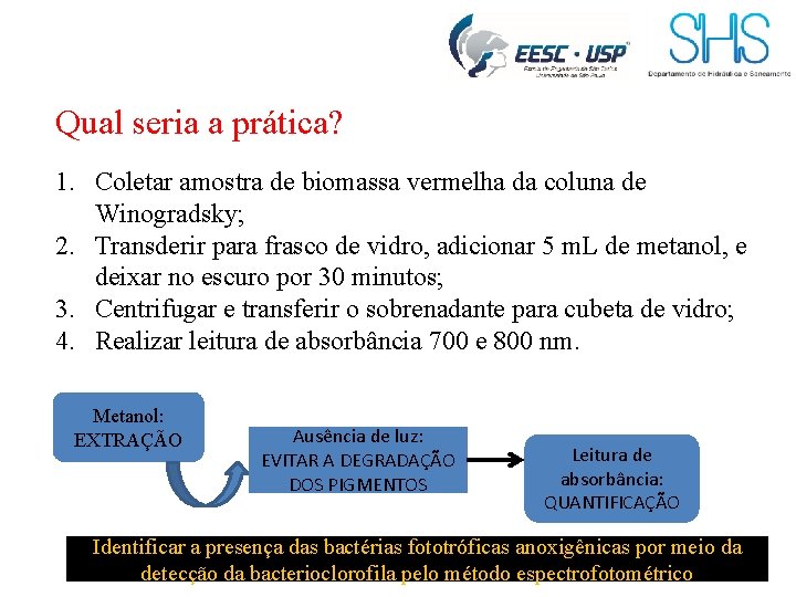 Qual seria a prática? 1. Coletar amostra de biomassa vermelha da coluna de Winogradsky;