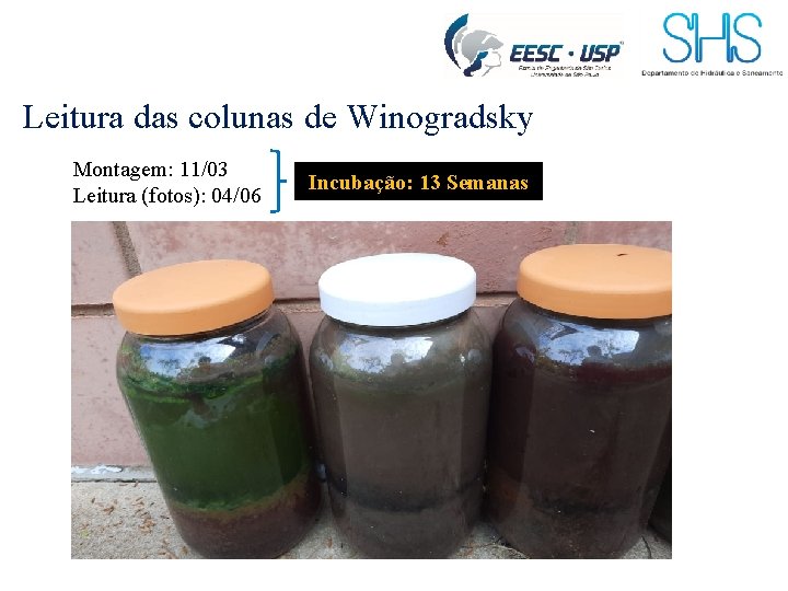 Leitura das colunas de Winogradsky Montagem: 11/03 Leitura (fotos): 04/06 Incubação: 13 Semanas 