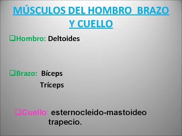 MÚSCULOS DEL HOMBRO BRAZO Y CUELLO q. Hombro: Deltoides q. Brazo: Bíceps Tríceps q.