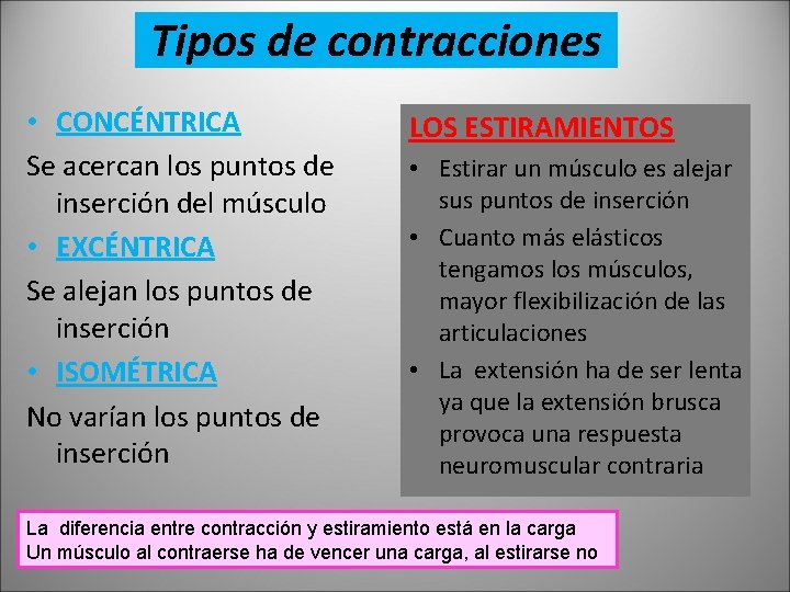Tipos de contracciones • CONCÉNTRICA Se acercan los puntos de inserción del músculo •