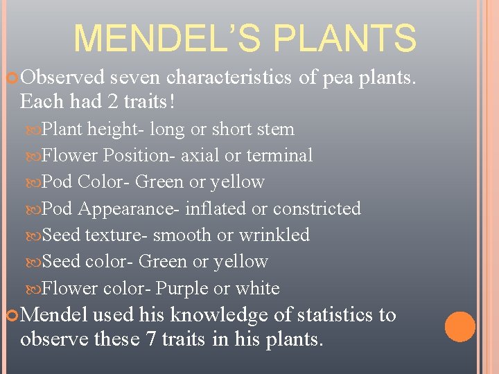 MENDEL’S PLANTS Observed seven characteristics of pea plants. Each had 2 traits! Plant height-