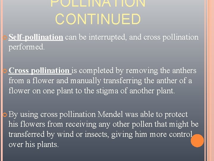 POLLINATION CONTINUED Self-pollination can be interrupted, and cross pollination performed. Cross pollination is completed