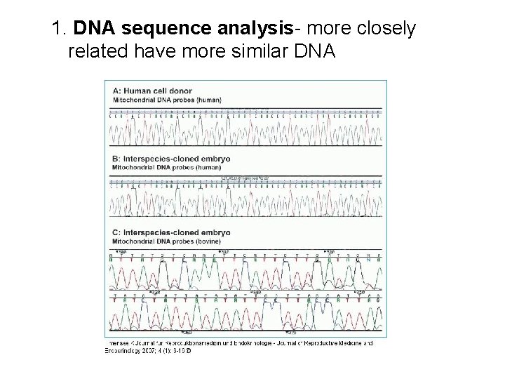 1. DNA sequence analysis- more closely related have more similar DNA 