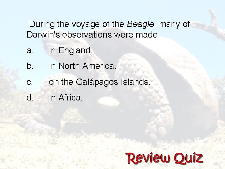During the voyage of the Beagle, many of Darwin's observations were made a. in