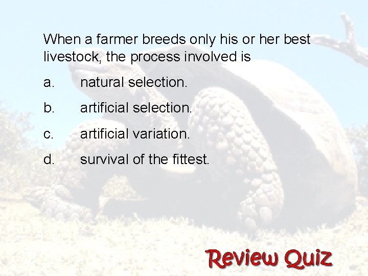 When a farmer breeds only his or her best livestock, the process involved is