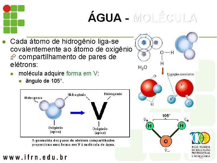 ÁGUA - MOLÉCULA l Cada átomo de hidrogênio liga-se covalentemente ao átomo de oxigênio