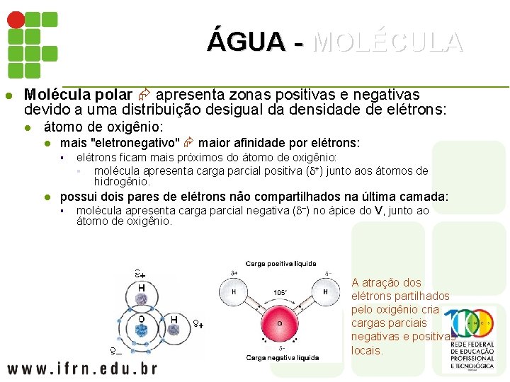 ÁGUA - MOLÉCULA l Molécula polar apresenta zonas positivas e negativas devido a uma