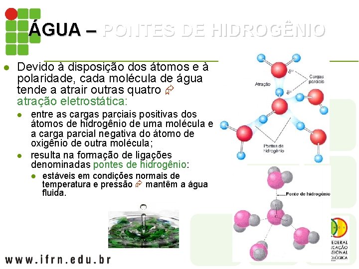 ÁGUA – PONTES DE HIDROGÊNIO l Devido à disposição dos átomos e à polaridade,