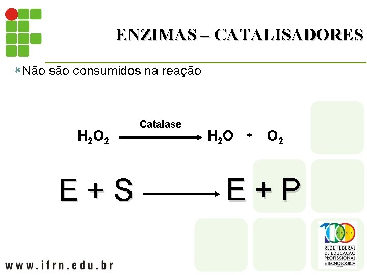 ENZIMAS – CATALISADORES ûNão são consumidos na reação H 2 O 2 E+S Catalase
