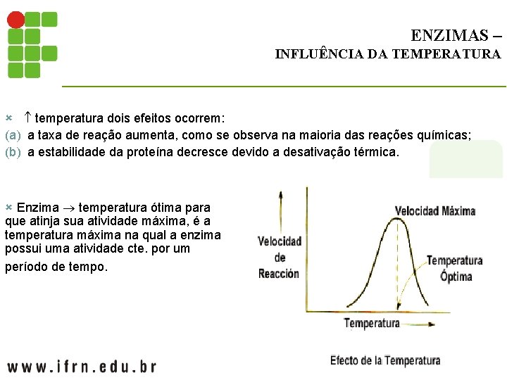 ENZIMAS – INFLUÊNCIA DA TEMPERATURA û temperatura dois efeitos ocorrem: (a) a taxa de