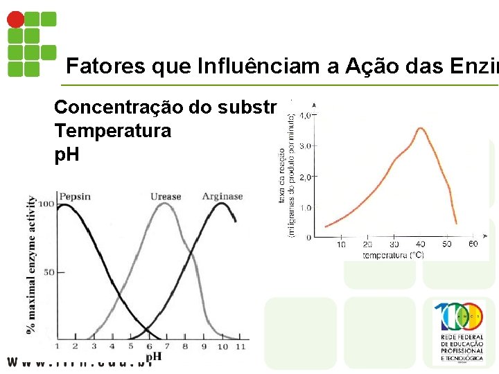 Fatores que Influênciam a Ação das Enzim Concentração do substrato Temperatura p. H 