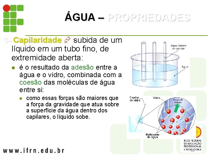ÁGUA – PROPRIEDADES 3 - Capilaridade subida de um líquido em um tubo fino,