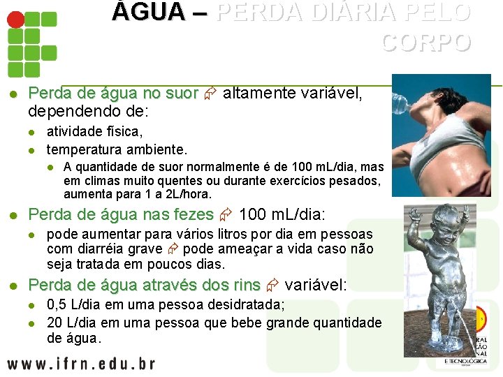 ÁGUA – PERDA DIÁRIA PELO CORPO l Perda de água no suor altamente variável,