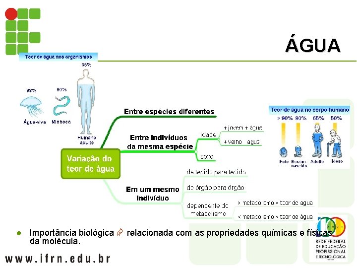 ÁGUA l Importância biológica relacionada com as propriedades químicas e físicas da molécula. 