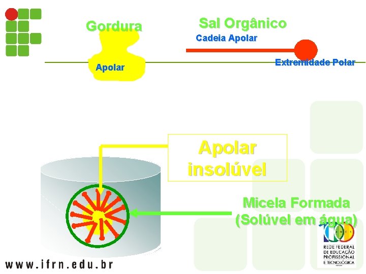 Gordura Sal Orgânico Cadeia Apolar Extremidade Polar Apolar insolúvel Micela Formada (Solúvel em água)