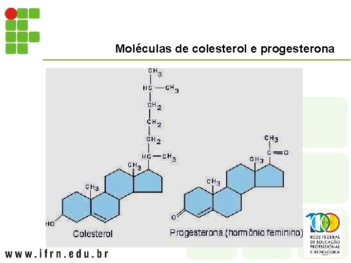 Moléculas de colesterol e progesterona 