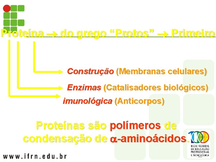 Proteína do grego “Protos” Primeiro Construção (Membranas celulares) Enzimas (Catalisadores biológicos) imunológica (Anticorpos) Proteínas