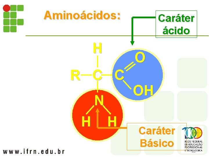 Aminoácidos: H O R C C N H Caráter ácido H OH Caráter Básico