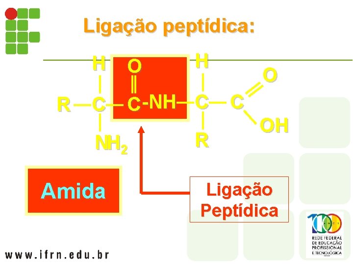 Ligação peptídica: R H H O C C-NH C NH 2 Amida R O