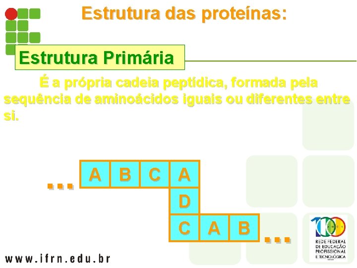 Estrutura das proteínas: Estrutura Primária É a própria cadeia peptídica, formada pela sequência de