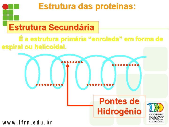 Estrutura das proteínas: Estrutura Secundária É a estrutura primária “enrolada” em forma de espiral