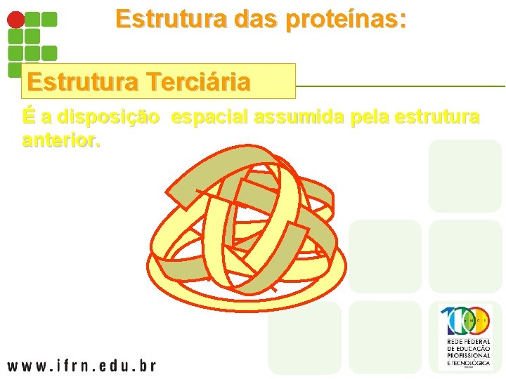 Estrutura das proteínas: Estrutura Terciária É a disposição espacial assumida pela estrutura anterior. 