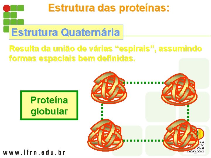 Estrutura das proteínas: Estrutura Quaternária Resulta da união de várias “espirais”, assumindo formas espaciais