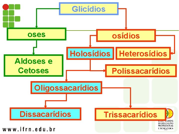 Glicídios oses Aldoses e Cetoses osídios Holosídios Heterosídios Polissacarídios Oligossacarídios Dissacarídios Trissacarídios 