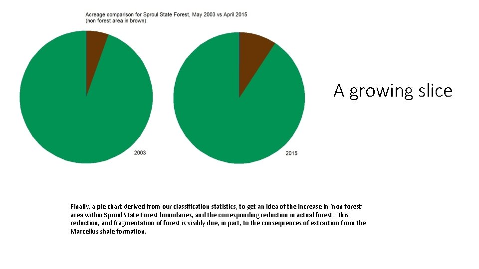 A growing slice Finally, a pie chart derived from our classification statistics, to get