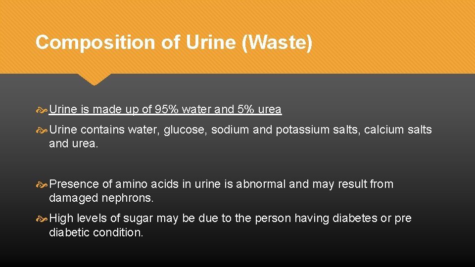 Composition of Urine (Waste) Urine is made up of 95% water and 5% urea