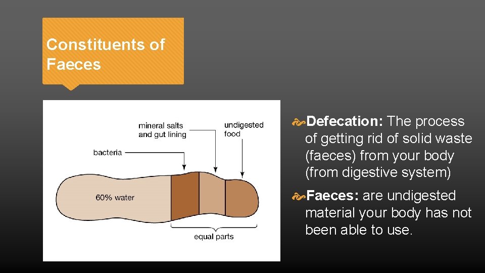 Constituents of Faeces Defecation: The process of getting rid of solid waste (faeces) from
