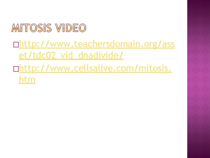 �http: //www. teachersdomain. org/ass et/tdc 02_vid_dnadivide/ �http: //www. cellsalive. com/mitosis. htm 