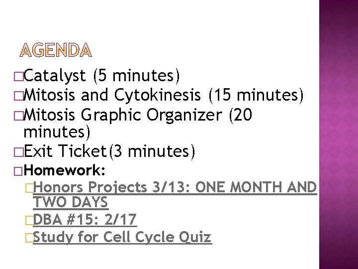 �Catalyst (5 minutes) �Mitosis and Cytokinesis (15 minutes) �Mitosis Graphic Organizer (20 minutes) �Exit