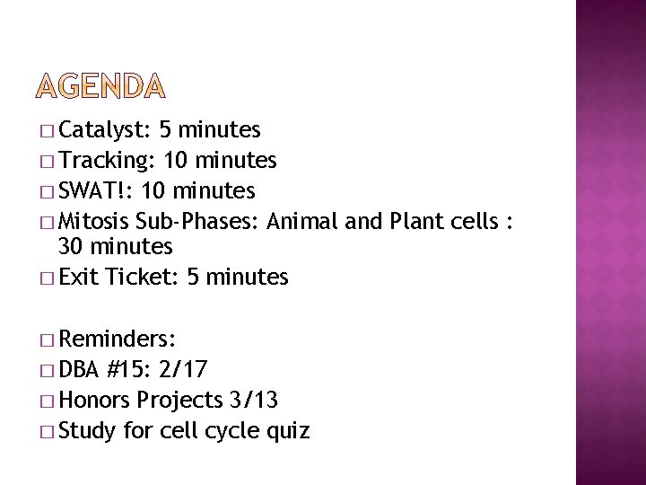 � Catalyst: 5 minutes � Tracking: 10 minutes � SWAT!: 10 minutes � Mitosis