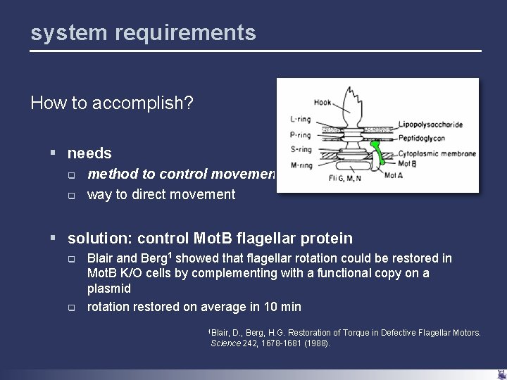 ready set swarm designing a bacterial relay race