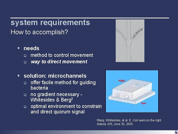 ready set swarm designing a bacterial relay race
