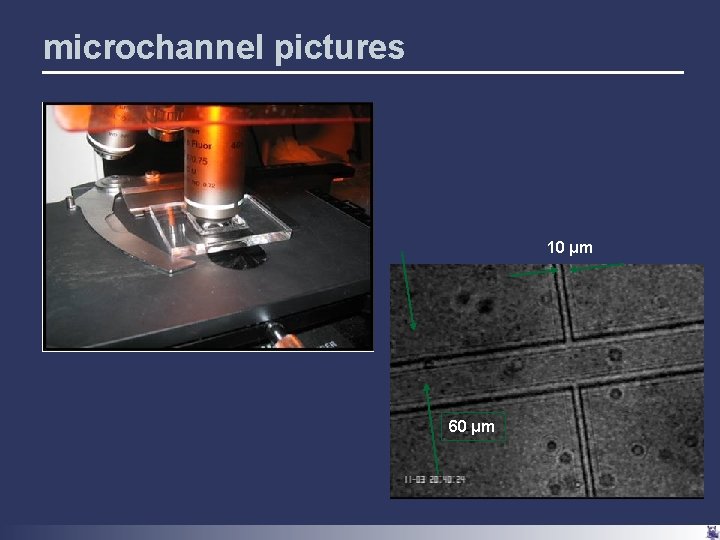 ready set swarm designing a bacterial relay race