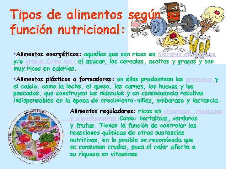 Tipos de alimentos según su función nutricional: • Alimentos energéticos: aquellos que son ricos