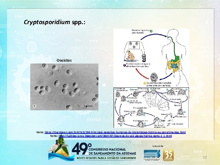 Cryptosporidium spp. : Oocistos Fonte: https: //docplayer. com. br/47921366 -Principais-parasitos-humanos-de-transmissao-hidrica-ou-por-alimentos. html Fonte: http: //ludbioscience.